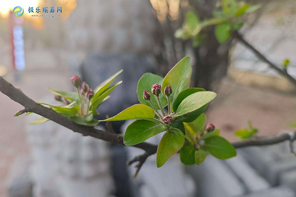 济南陵园破损的狮子用什么布料修复？选择耐用遮盖物的关键