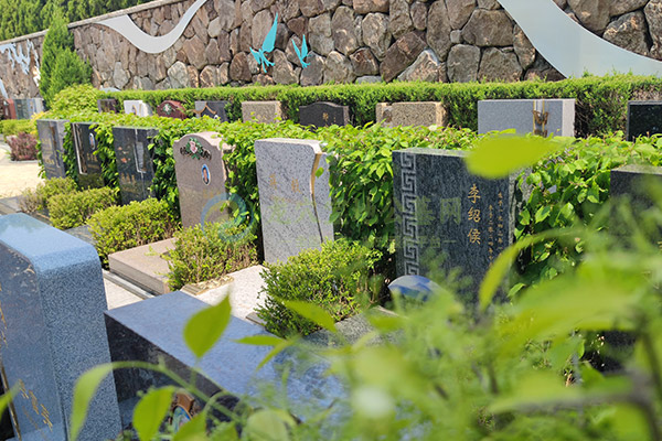 济南墓园清明选墓价格大全2026攻略：一步到位，选对安息家园
