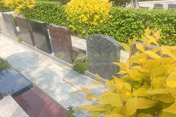 济南墓园清明选墓价格大全2026攻略：一步到位，选对安息家园